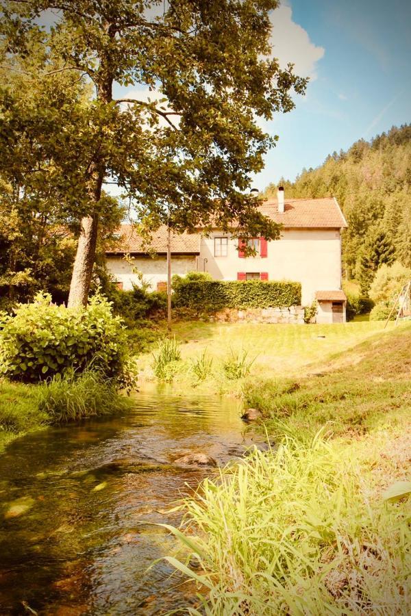 Gite De Charme Jusqu'A 14 Personnes, Proche Du Lac De Gerardmer Exterior photo